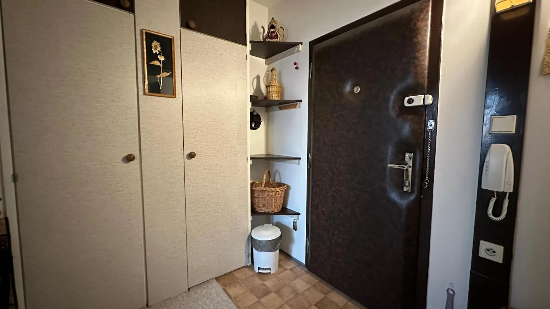Vintage Apartment براغ جمهورية التشيك